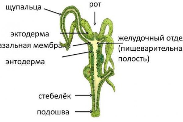 Новый домен омг v3